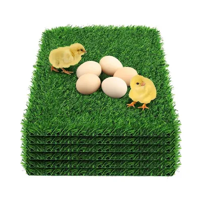 ZooVenture Lot de 6 tapis de nidification pour poules