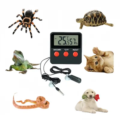 Rocky Thermomètre et hygromètre numériques pour reptiles Rocky Thermomètre et hygromètre numériques pour reptiles
