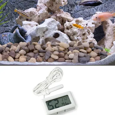 Rocky Thermomètre et hygromètre intégré numérique