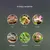 Rocky Hygromètre et thermomètre pour reptiles Rocky Hygromètre et thermomètre pour reptiles