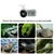 Rocky Hygromètre et thermomètre pour reptiles Rocky Hygromètre et thermomètre pour reptiles