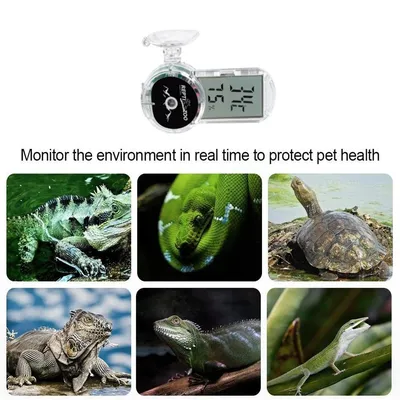 Rocky Hygromètre et thermomètre pour reptiles Rocky Hygromètre et thermomètre pour reptiles