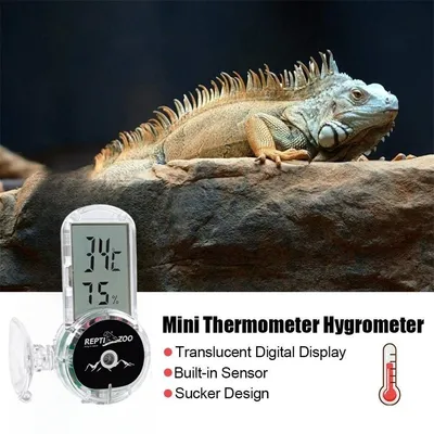 Rocky Hygromètre et thermomètre pour reptiles Rocky Hygromètre et thermomètre pour reptiles