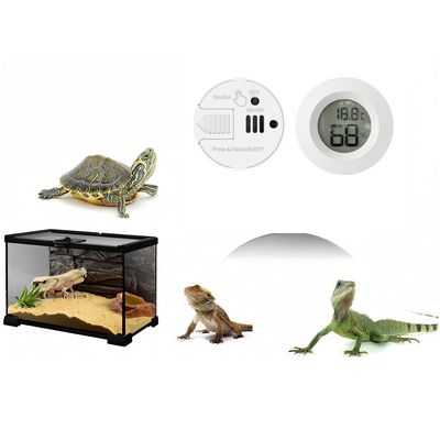 Rocky  hygromètre numériques pour reptiles