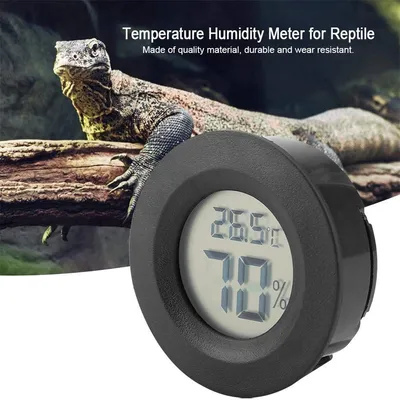 Rocky hygromètre numériques pour reptiles Rocky hygromètre numériques pour reptiles