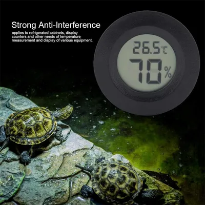 Rocky hygromètre numériques pour reptiles Rocky hygromètre numériques pour reptiles