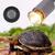 Rocky hygromètre numériques pour reptiles Rocky hygromètre numériques pour reptiles