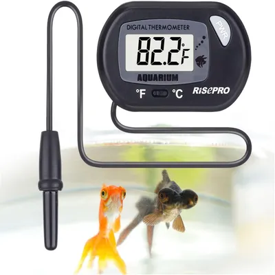 Rocky Thermomètre numérique pour aquarium et reptiles Rocky Thermomètre numérique pour aquarium et reptiles