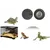 Rocky hygromètre numériques pour reptiles Rocky hygromètre numériques pour reptiles