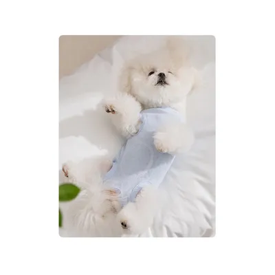 ZooVenture Combinaisons postopératoires pour chiens