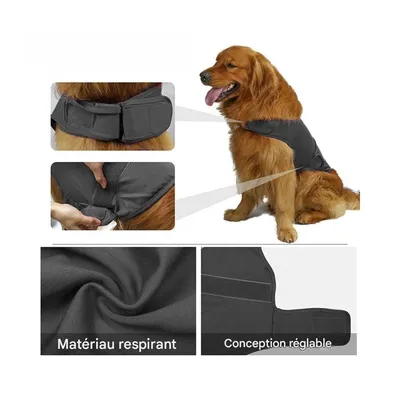 Zoomtopia Gilet apaisant pour chien