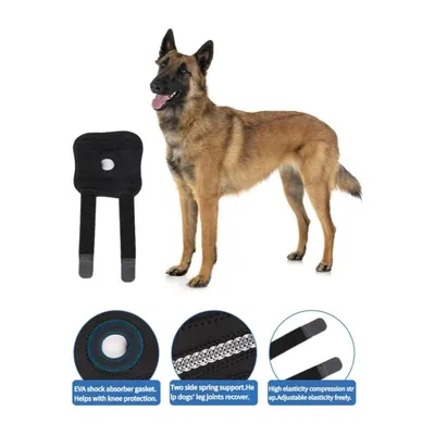 Rocky 2 Protector pour genou de chien