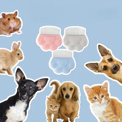 Zoomtopia Ensemble de 3 peignes anti - puces pour chats et chiens