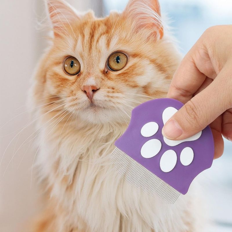 ZooVenture Brosse de toilettage pour chat