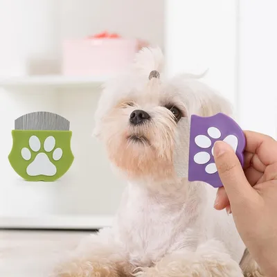 ZooVenture Brosse de toilettage pour chat