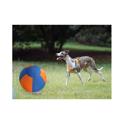 ZooVenture Balle de berger pour chien