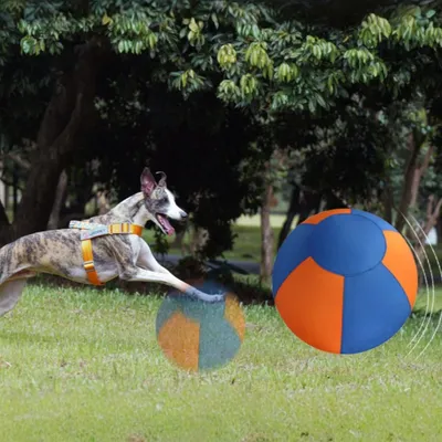 ZooVenture Balle de berger pour chien