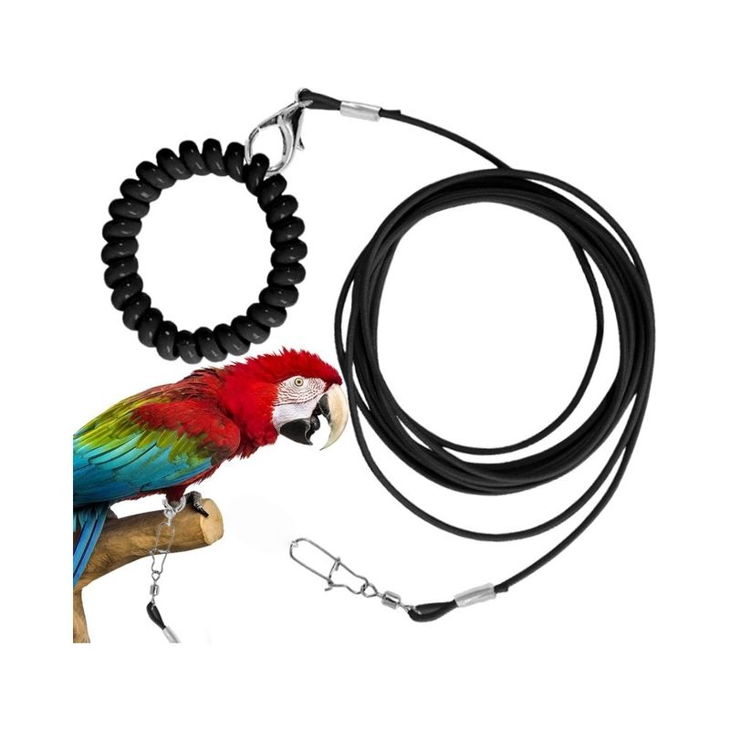 ZooVenture Laisse de vol pour oiseaux et perroquets