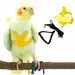 ZooVenture Harnais Et Laisse Pour Perroquet Pour Animaux Domestiques