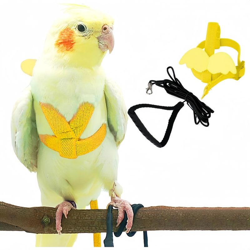 ZooVenture Papageiengeschirr und Leine für Haustiere