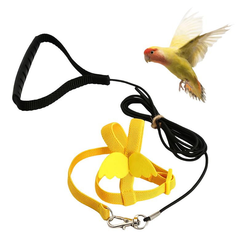 Rocky Harnais ajustable pour perroquet