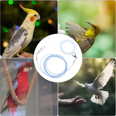 ZooVenture Flugleine für Vögel und Papageien