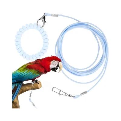 ZooVenture Laisse de vol pour oiseaux et perroquets ZooVenture Laisse de vol pour oiseaux et perroquets