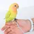 ZooVenture Flugleine für Vögel und Papageien