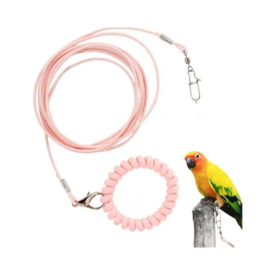 ZooVenture Laisse de vol pour oiseaux et perroquets