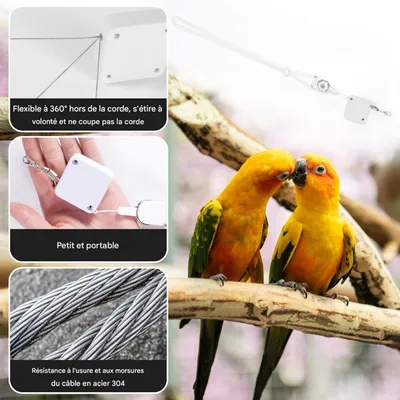 ZooVenture Laisse Rétractable Pour Oiseaux