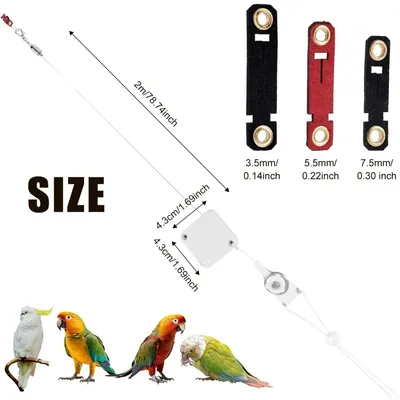 ZooVenture Laisse Rétractable Pour Oiseaux