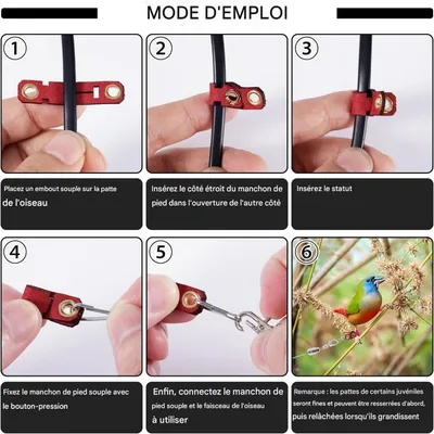 ZooVenture Laisse Rétractable Pour Oiseaux