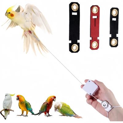 ZooVenture Laisse Rétractable Pour Oiseaux
