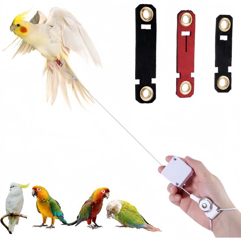 ZooVenture Laisse Rétractable Pour Oiseaux