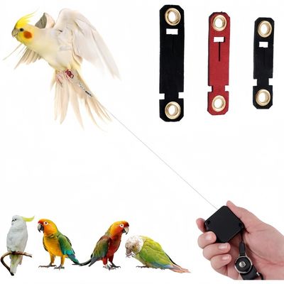 ZooVenture Laisse Rétractable Pour Oiseaux