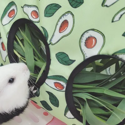 Zoomtopia Sac à foin pour petits animaux