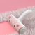 Rocky Brosse pour enlever les poils d'animaux
