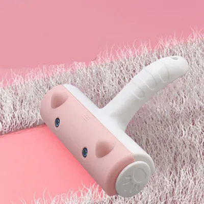 Rocky Brosse pour enlever les poils d'animaux