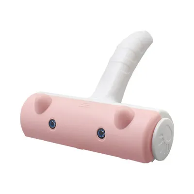 Rocky Brosse pour enlever les poils d'animaux