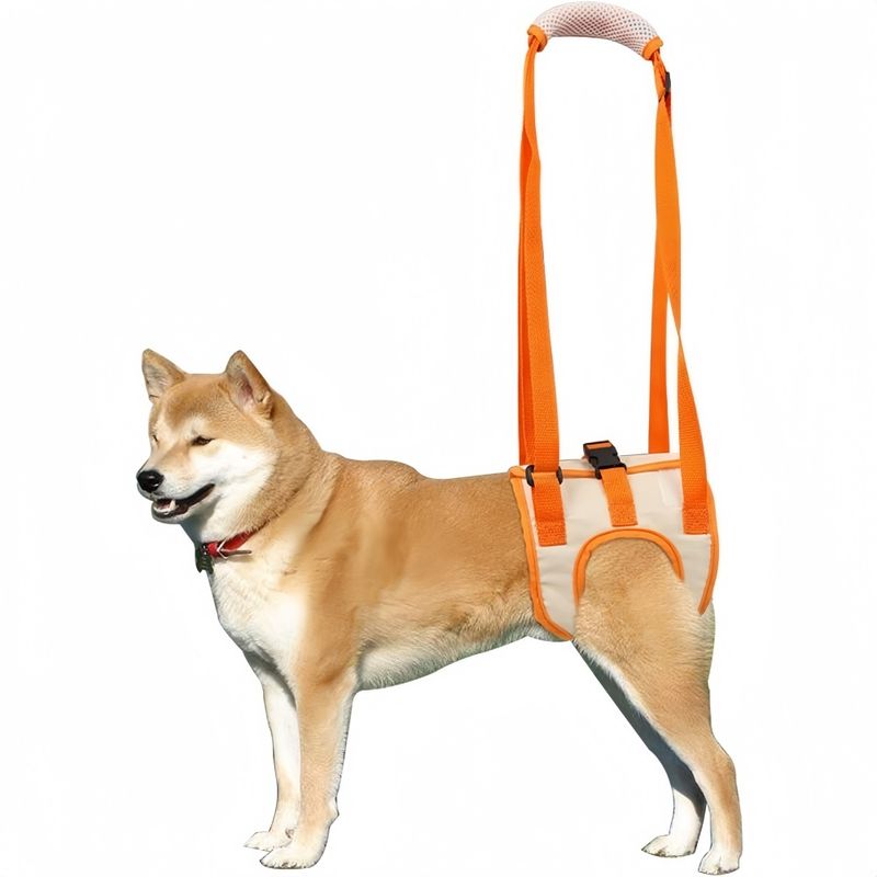 ZooVenture Hunde-Hebegeschirr
