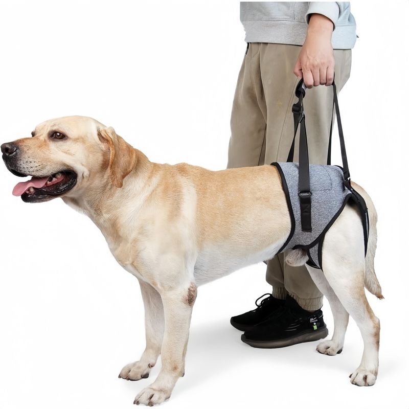 ZooVenture Harnais De Levage Pour Chien