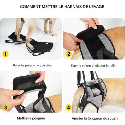 ZooVenture Harnais De Levage Pour Chien