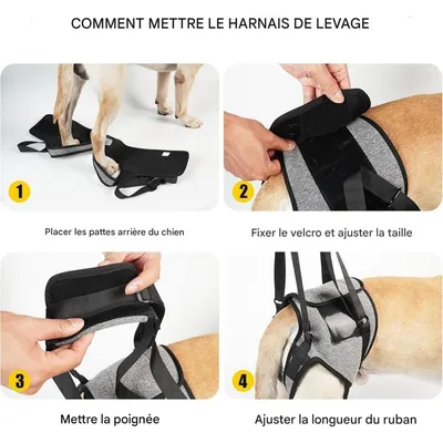 ZooVenture Harnais De Levage Pour Chien