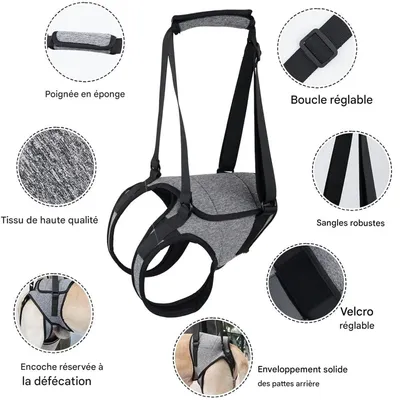 ZooVenture Harnais De Levage Pour Chien