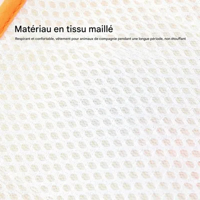 ZooVenture Harnais De Levage Pour Chien