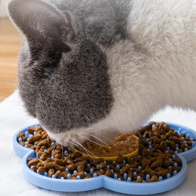 Zoomtopia Leckmatte für Katzen