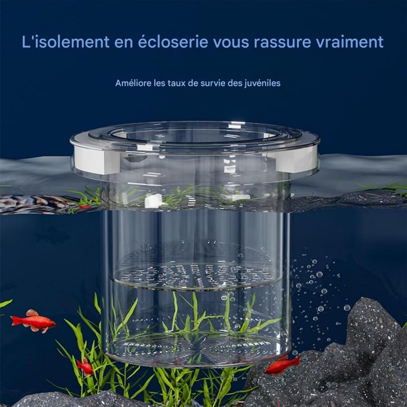 ZooVenture Boîte d'élevage pour aquarium