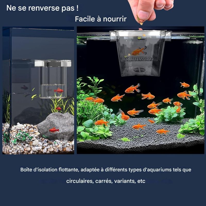 ZooVenture Boîte d'élevage pour aquarium