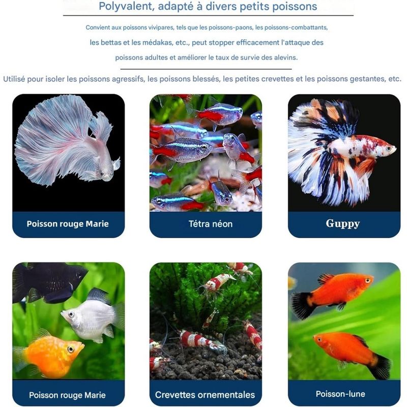 ZooVenture Boîte d'élevage pour aquarium