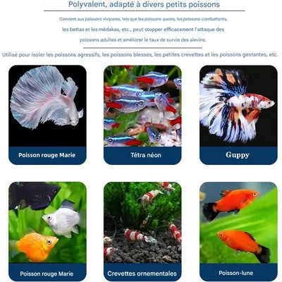 ZooVenture Boîte d'élevage pour aquarium